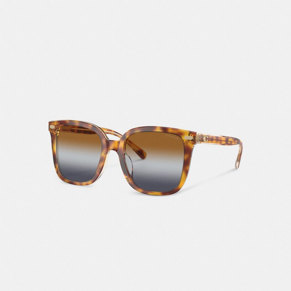 Coach Beveled Signature Oversized Square Sunglasses Marrom Azuis Cinzentas | COH866364