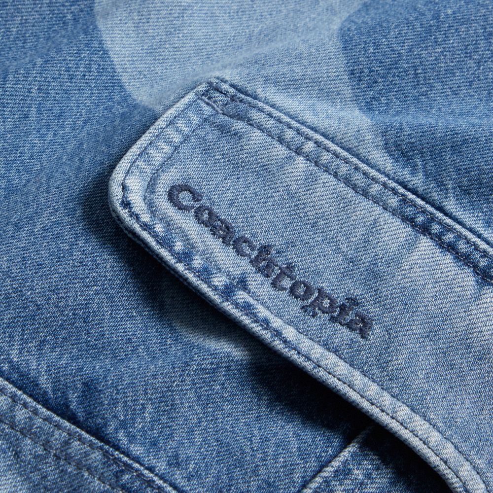 Coach Cargo Pants In Wavy Wash Azuis | COH866023