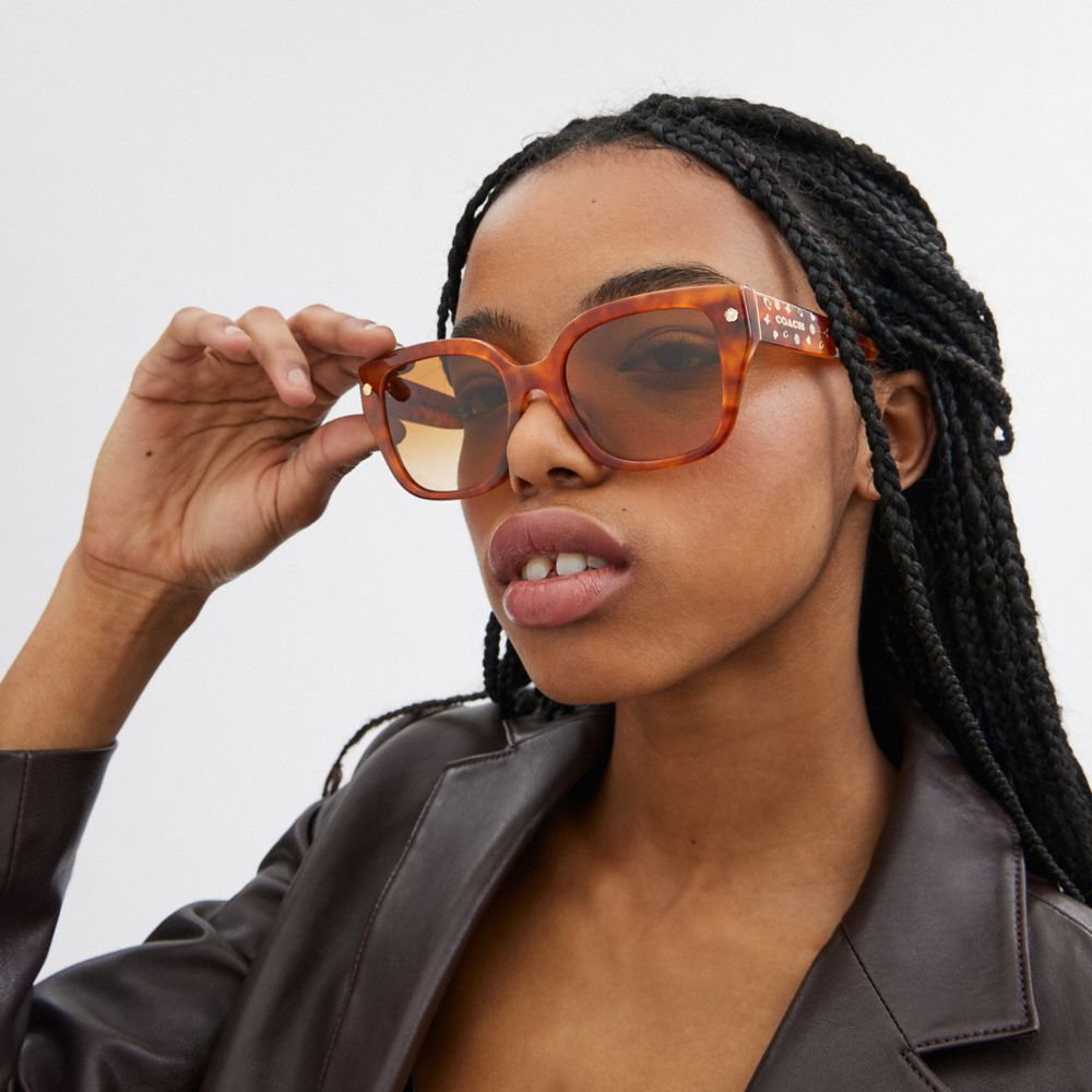 Coach Charms Oversized Square Sunglasses Marrom | COH866328
