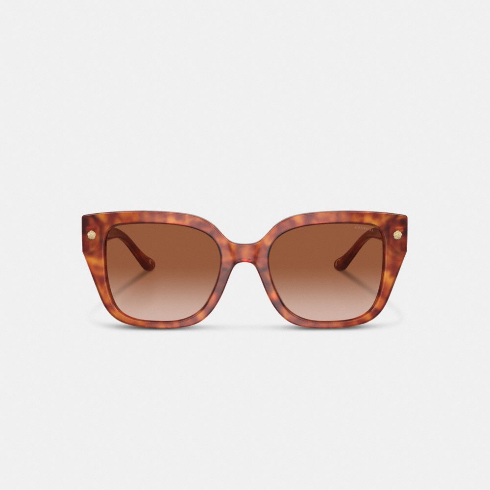 Coach Charms Oversized Square Sunglasses Marrom | COH866328