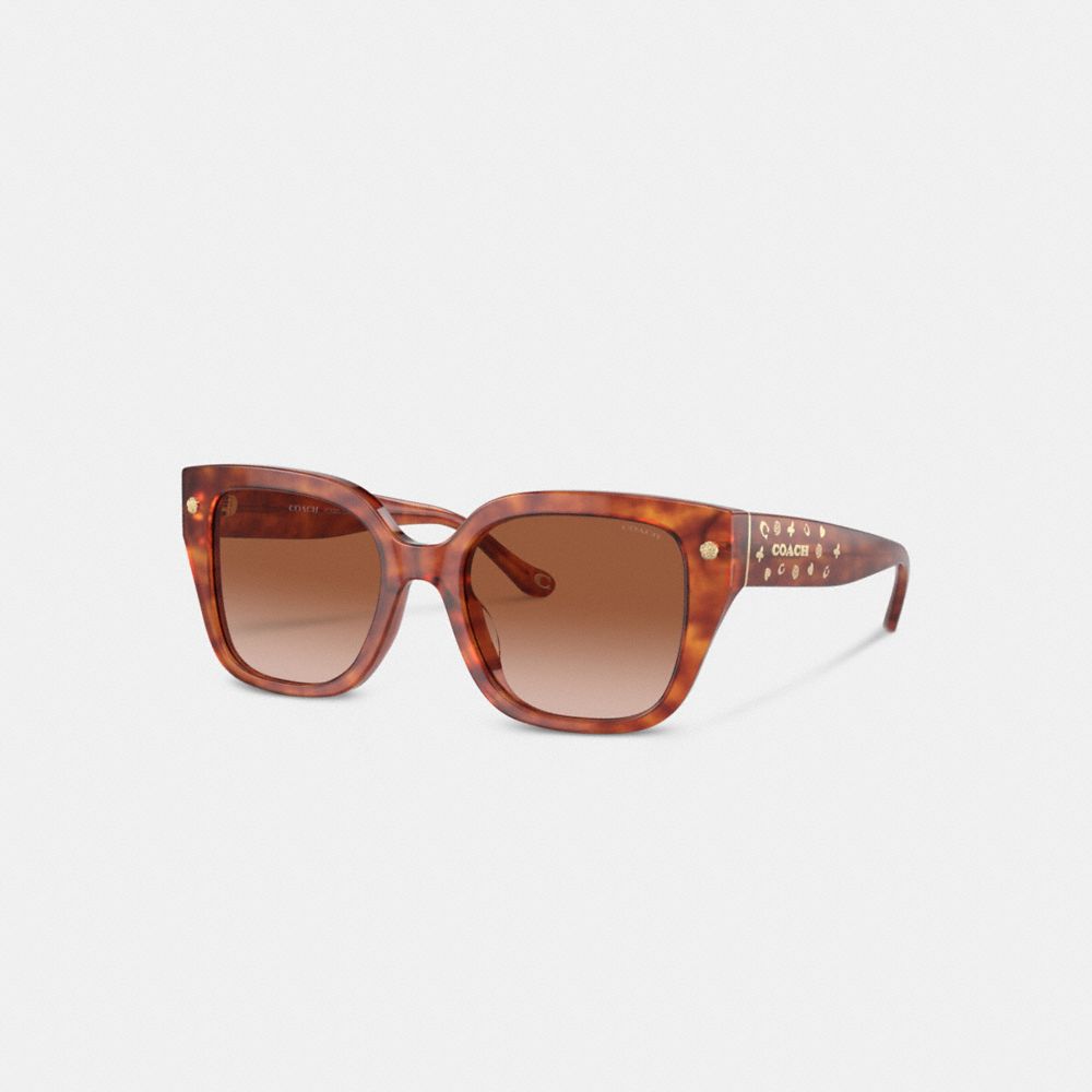 Coach Charms Oversized Square Sunglasses Marrom | COH866328