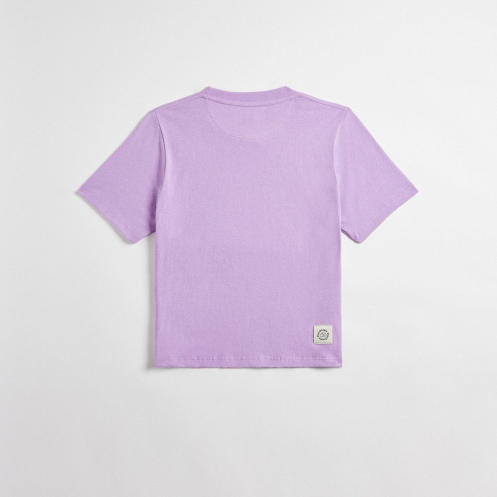 Coach Cropped Tee: Best Friends Bunny Roxo Multicoloridas | COH865971
