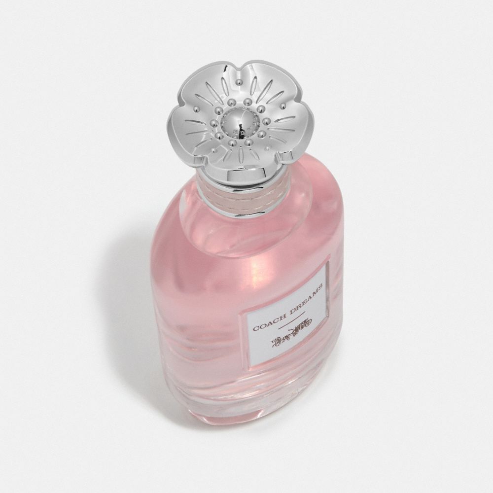 Coach Dreams Eau De Parfum 90 Ml Multicoloridas | COH866408