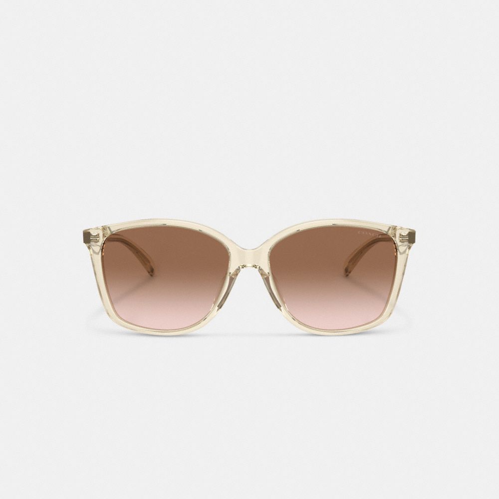 Coach Embedded Wire Square Sunglasses Marrom Rosa | COH866357