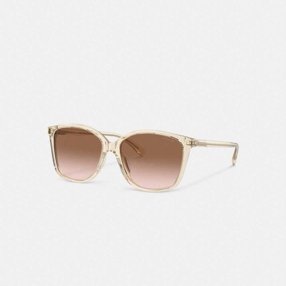 Coach Embedded Wire Square Sunglasses Marrom Rosa | COH866357