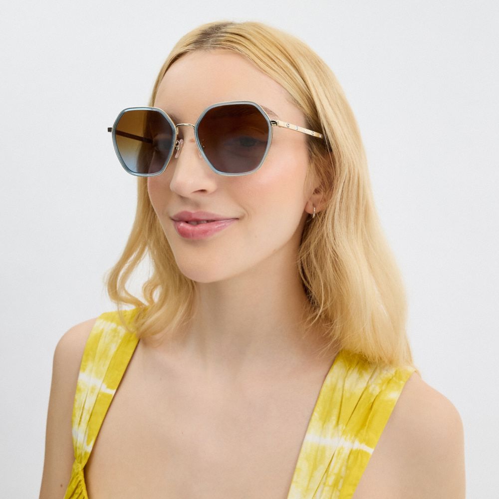 Coach Embellished Narrow Metal Hexagon Sunglasses Azuis | COH866323