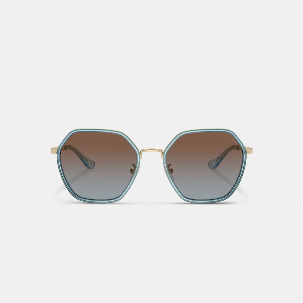 Coach Embellished Narrow Metal Hexagon Sunglasses Azuis | COH866323