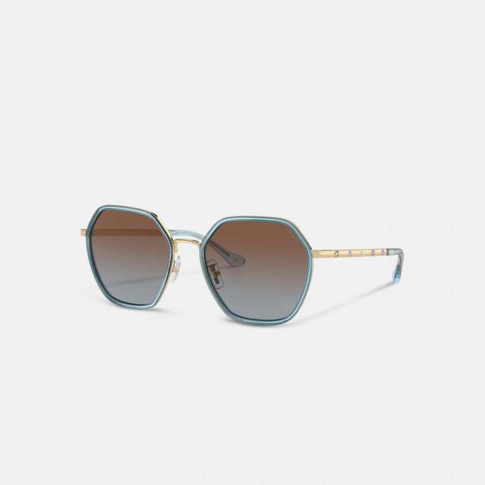 Coach Embellished Narrow Metal Hexagon Sunglasses Azuis | COH866323