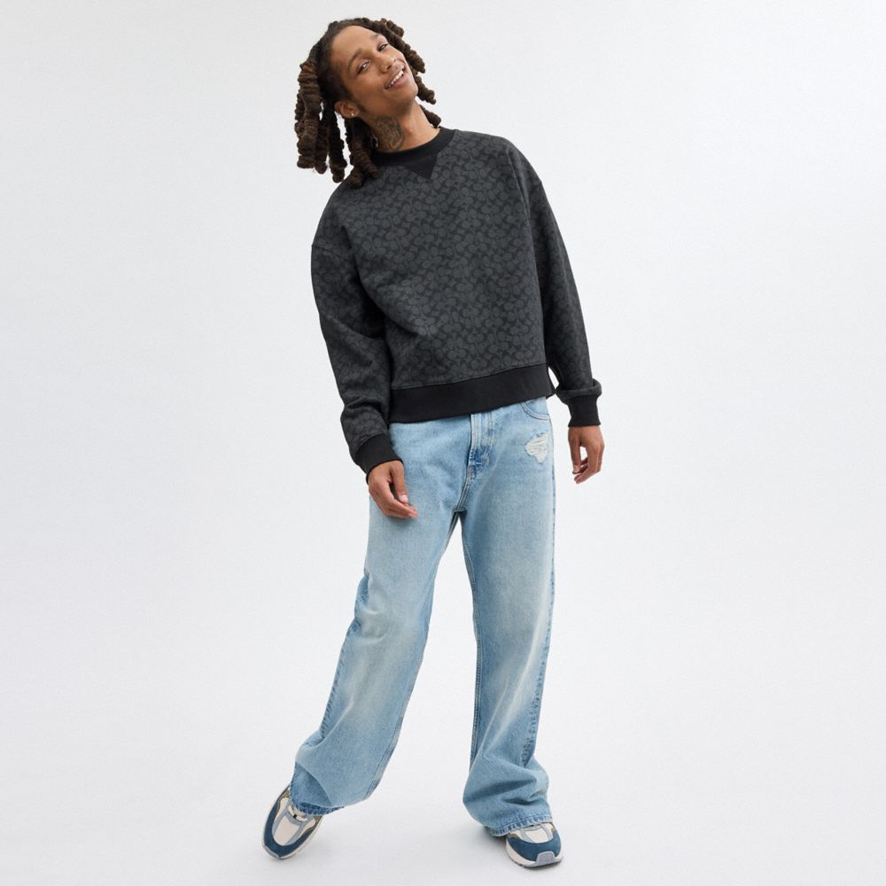 Coach Essential Signature Crewneck Cinzentas | COH866881