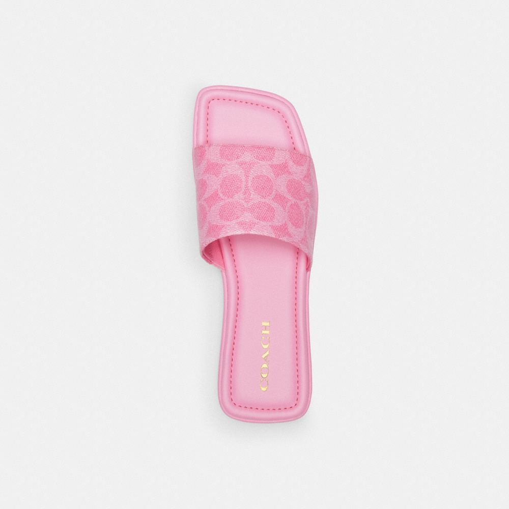 Coach Florence Sandal In Signature Canvas Rosa | COH865868