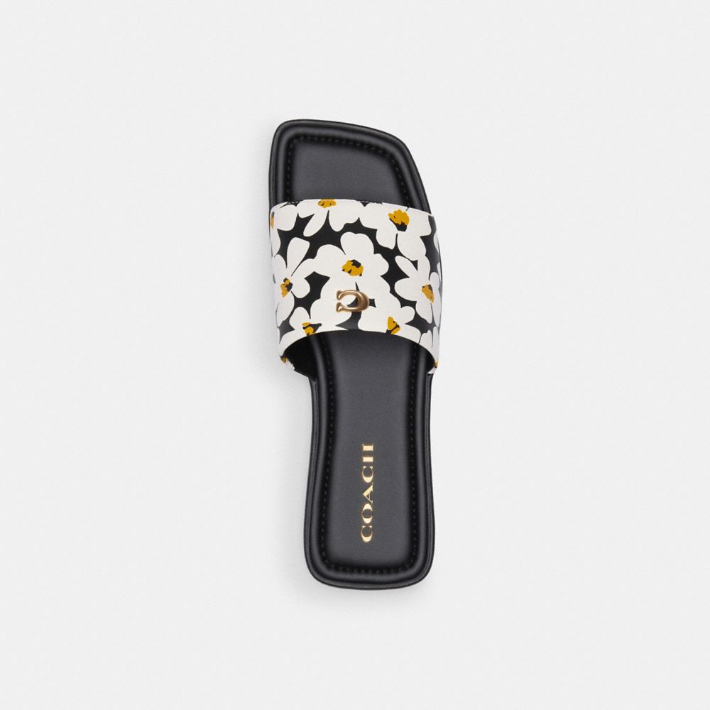 Coach Florence Sandal With Floral Print Multicoloridas | COH865889