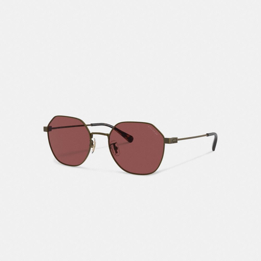 Coach Hinged Geometric Round Sunglasses Douradas Bordeaux | COH867066