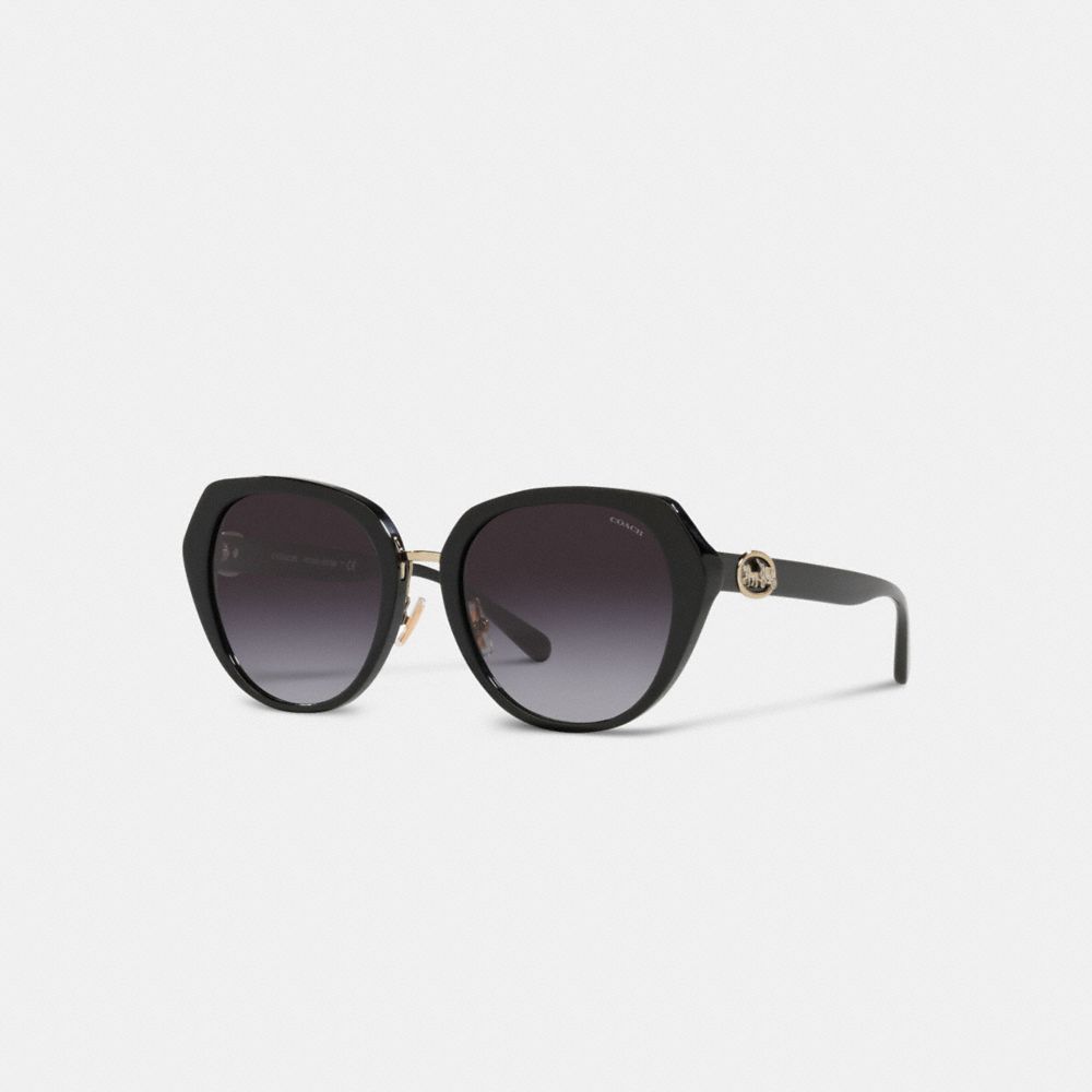 Coach Horse And Carriage Oversized Round Sunglasses Pretas | COH866344