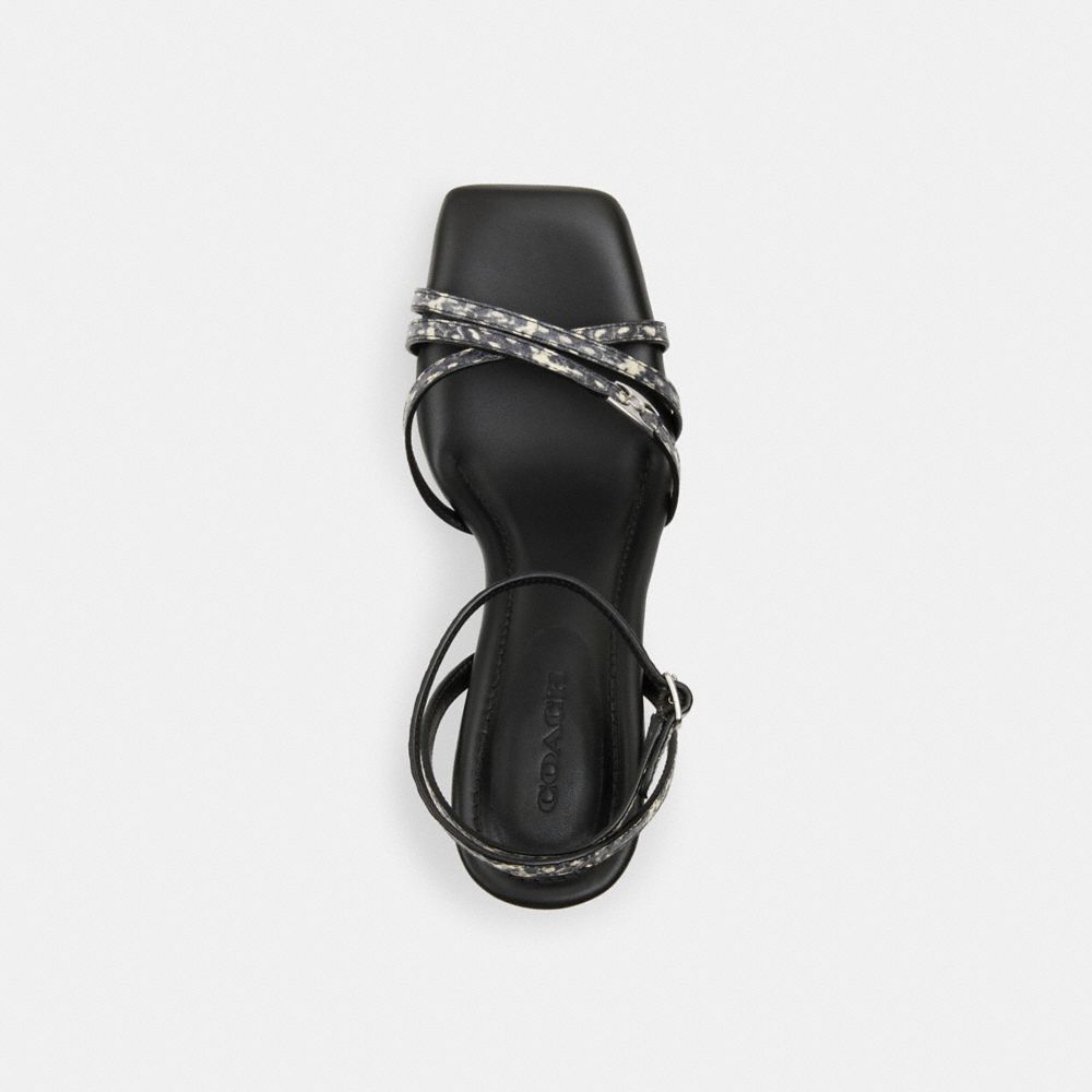 Coach Kelsey Sandal In Snakeskin Bege | COH865758