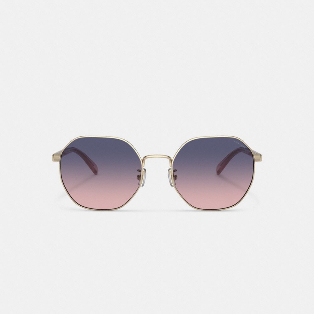 Coach Metal Hexagon Sunglasses Roxo Rosa | COH866356