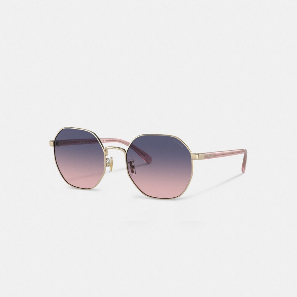 Coach Metal Hexagon Sunglasses Roxo Rosa | COH866356