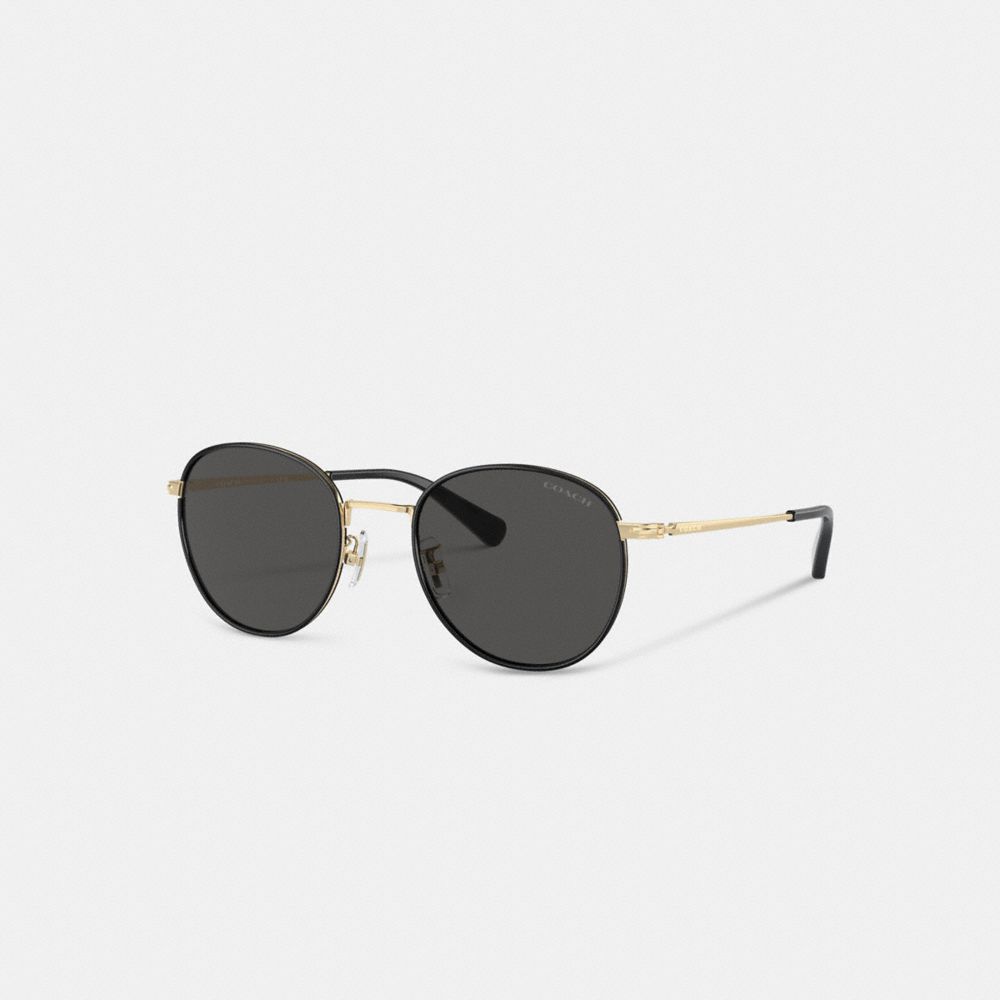 Coach Metal Windsor Round Sunglasses Pretas Luz Douradas | COH867055
