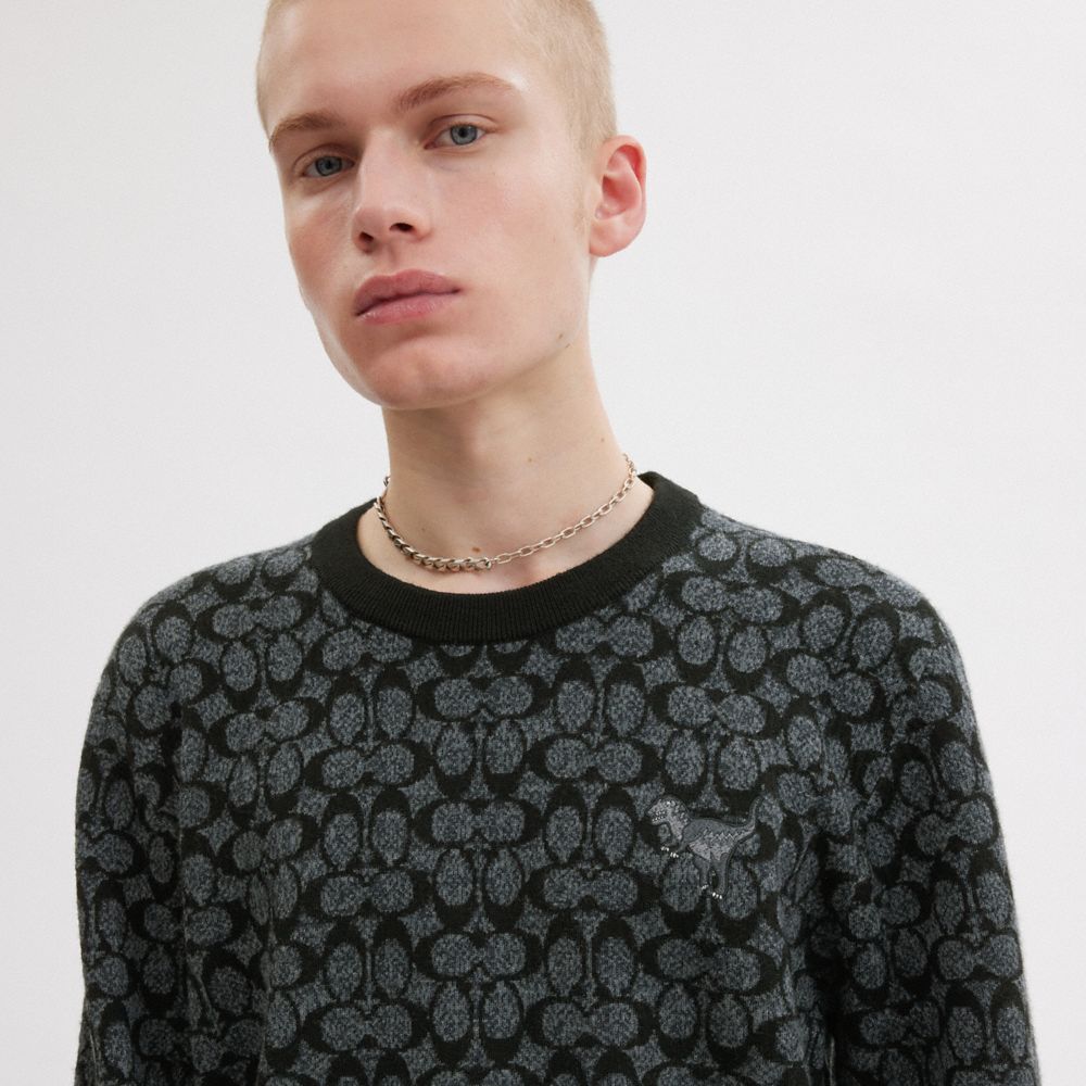 Coach Rexy Sweater Pretas | COH865978