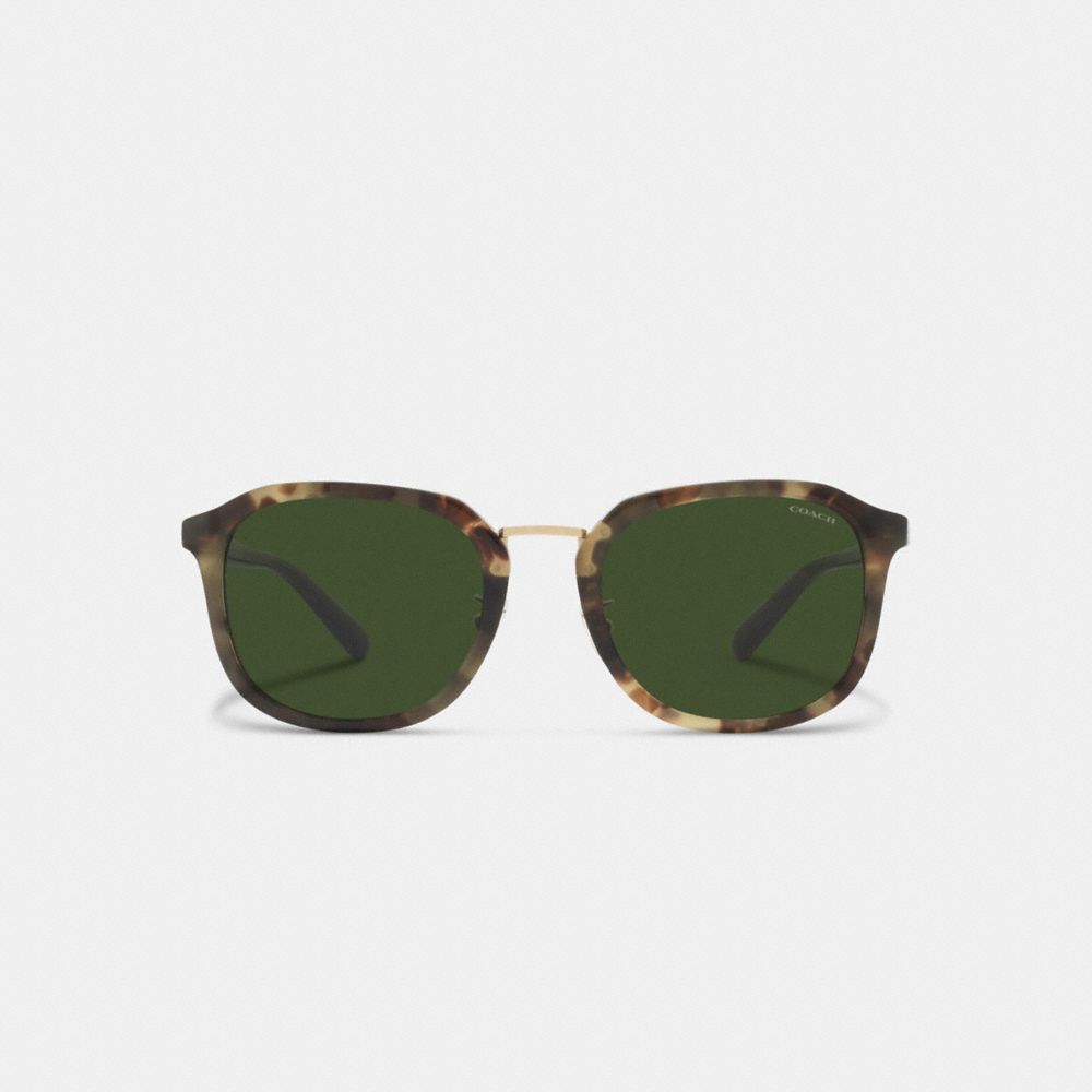 Coach Rounded Geometric Sunglasses Verdes | COH866342