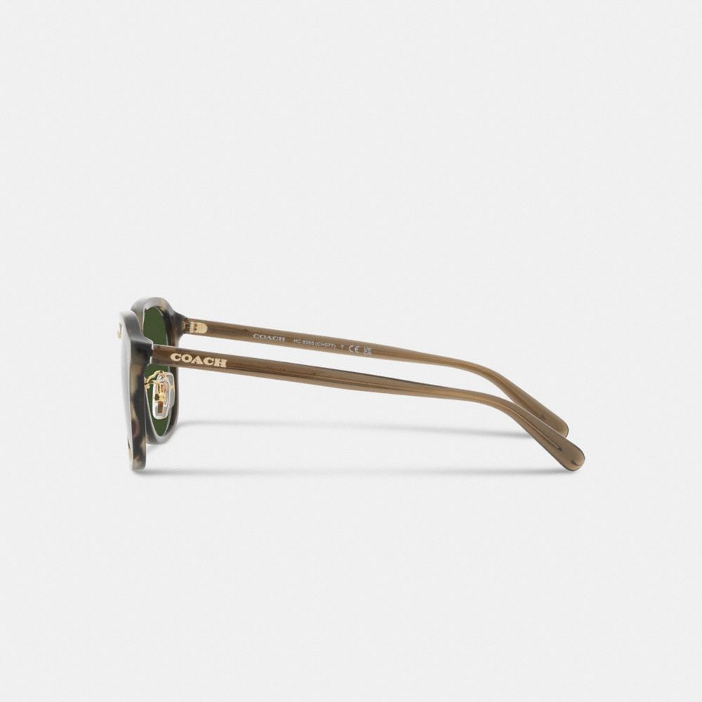 Coach Rounded Geometric Sunglasses Verdes | COH866342