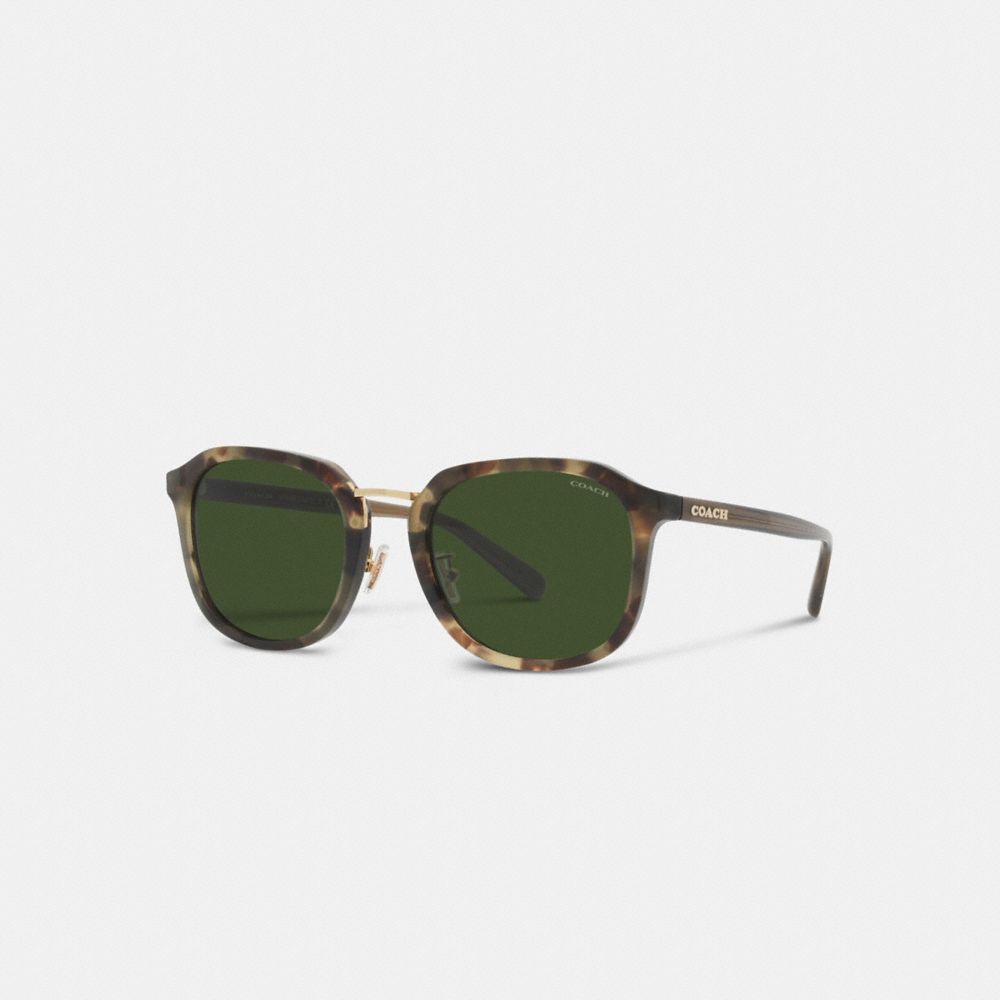 Coach Rounded Geometric Sunglasses Verdes | COH866342