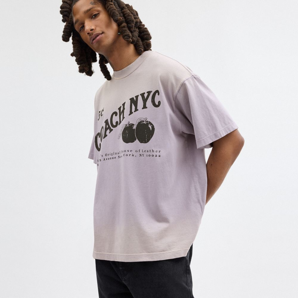 Coach Signature Apple T Shirt Roxo | COH866921