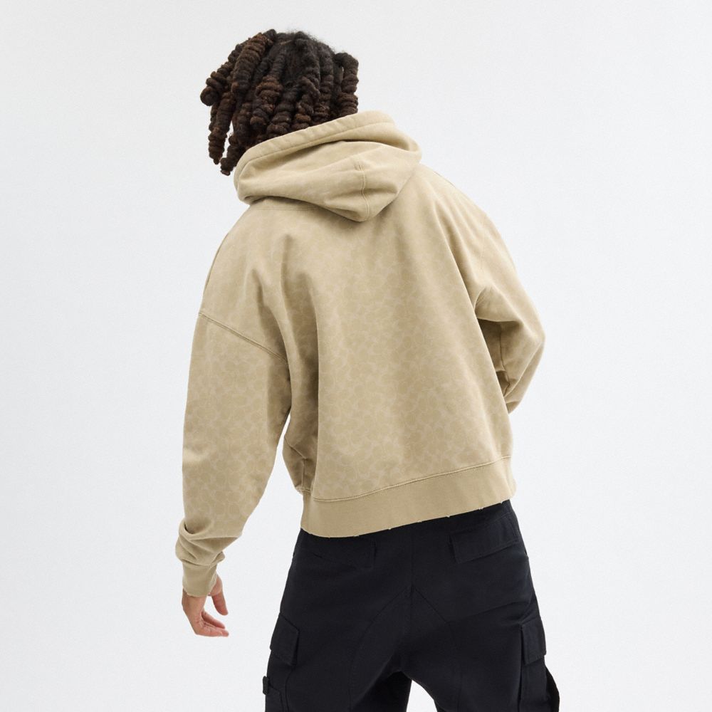 Coach Signature Long Sleeve Relaxed Americana Pullover Hoodie Caqui | COH866899