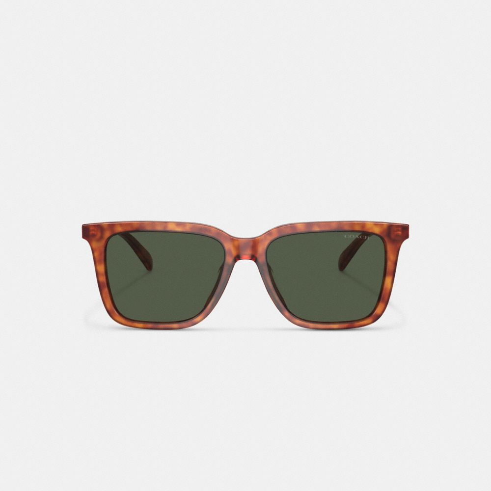 Coach Signature Square Sunglasses Verdes | COH866338