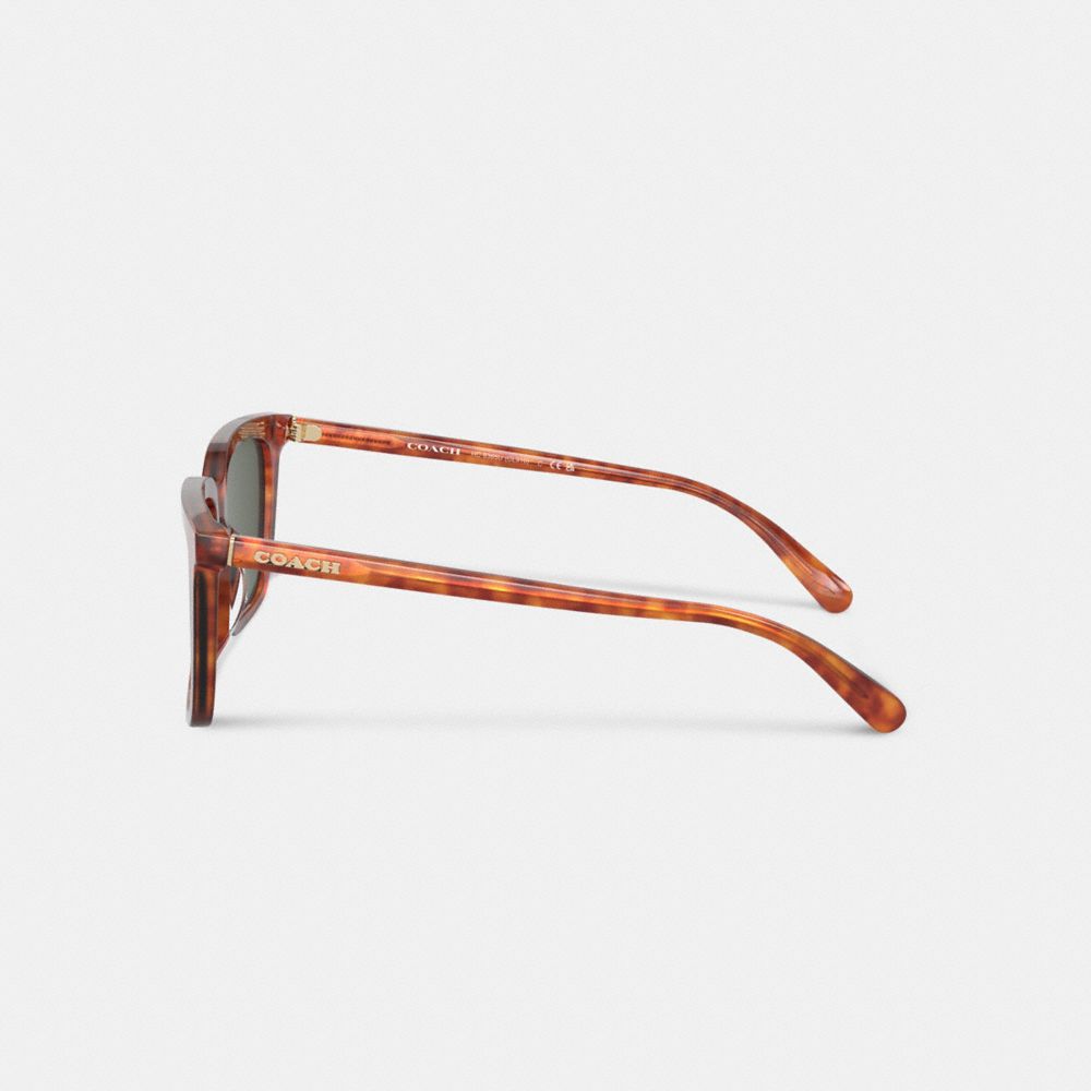 Coach Signature Square Sunglasses Verdes | COH866338
