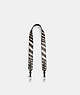 Coach Strap With Zebra Print Prateadas | COH866448