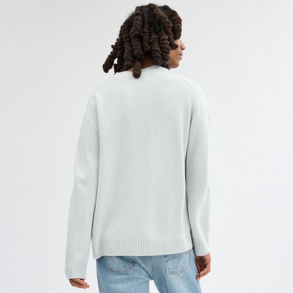 Coach Sweater Azuis | COH866891