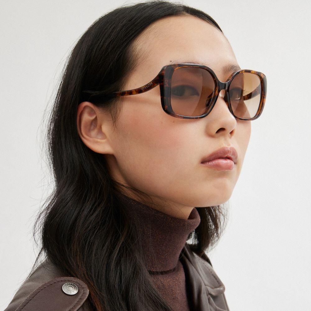 Coach Swoop Temple Rectangle Sunglasses Marrom | COH866325