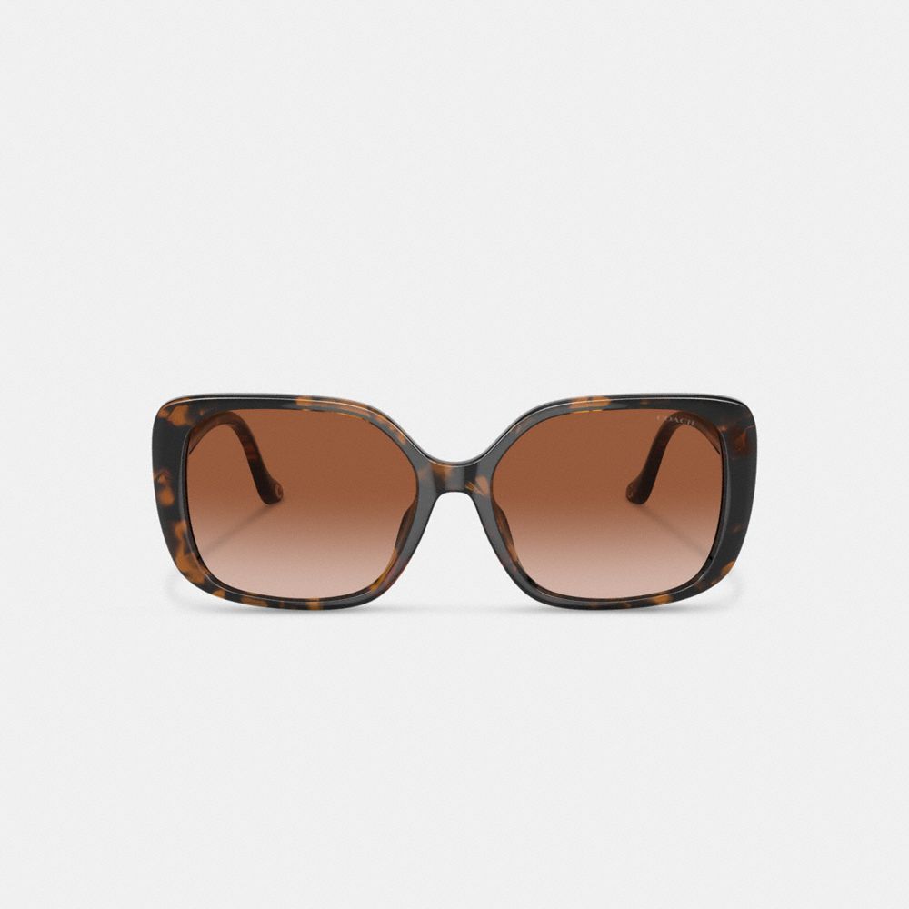 Coach Swoop Temple Rectangle Sunglasses Marrom | COH866325