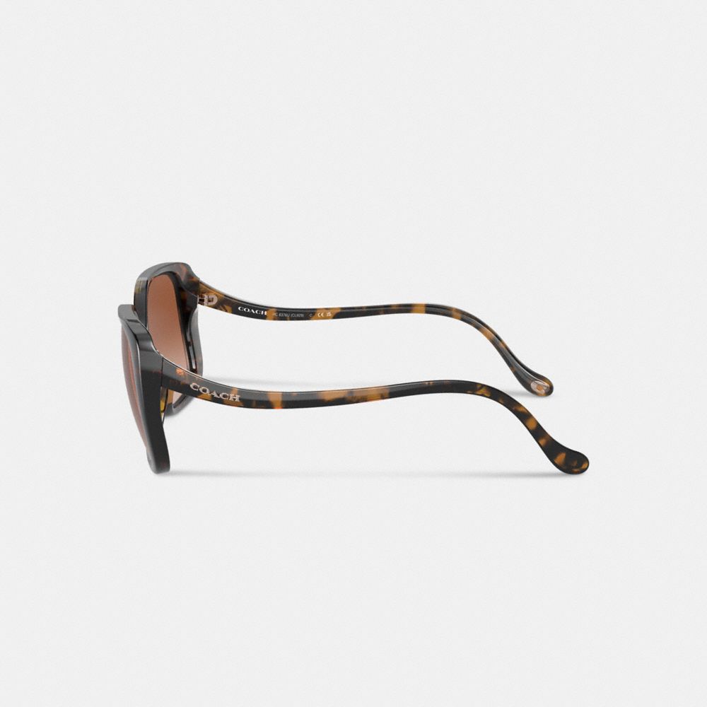 Coach Swoop Temple Rectangle Sunglasses Marrom | COH866325