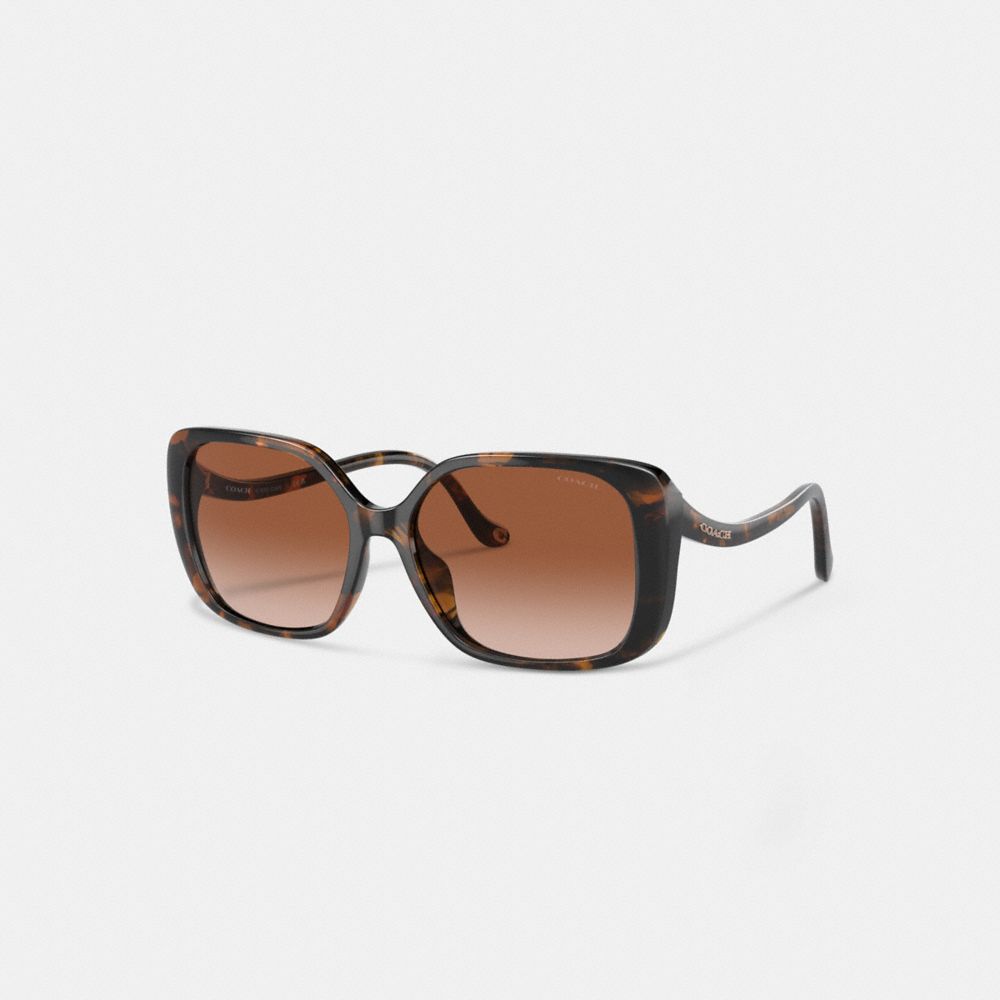 Coach Swoop Temple Rectangle Sunglasses Marrom | COH866325