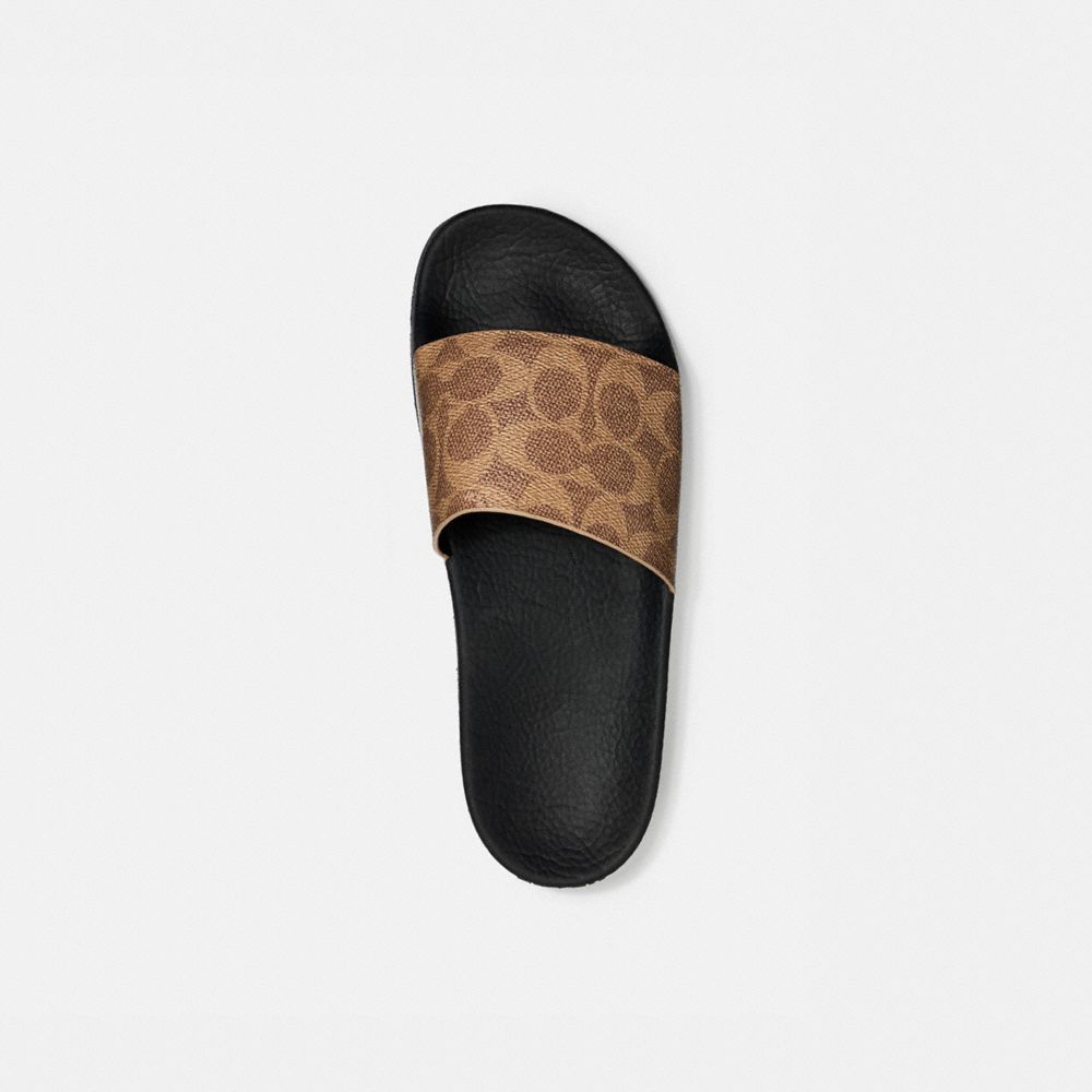 Coach Udele Sport Slide In Signature Canvas Marrom | COH865855